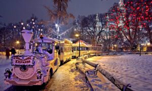 Vienna Christmas Market City Hall
